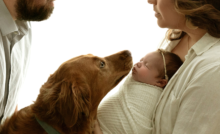 Family dog gently greeting newborn during Cedar Falls photography session.